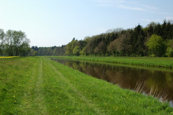 Aue