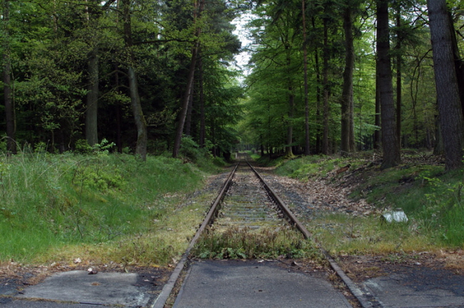 Eibia Werk - Liebenau