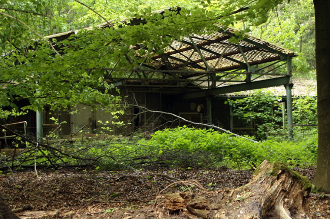 Eibia Werk - Liebenau