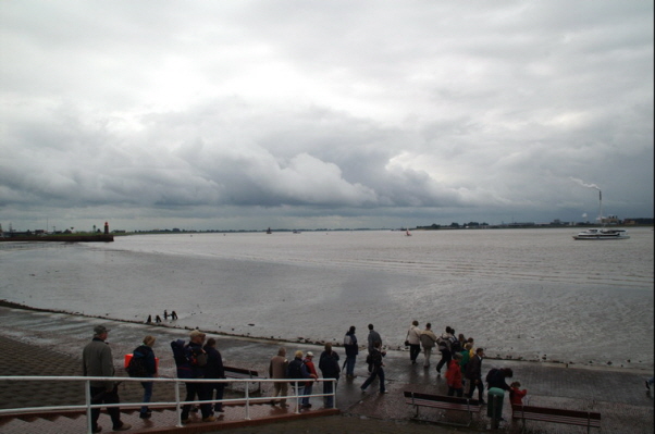 Sail 2005