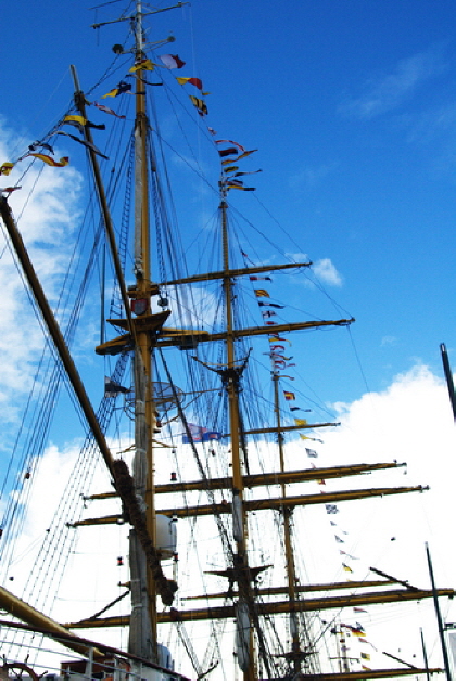 Sail 2010