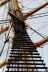 Sail 2010