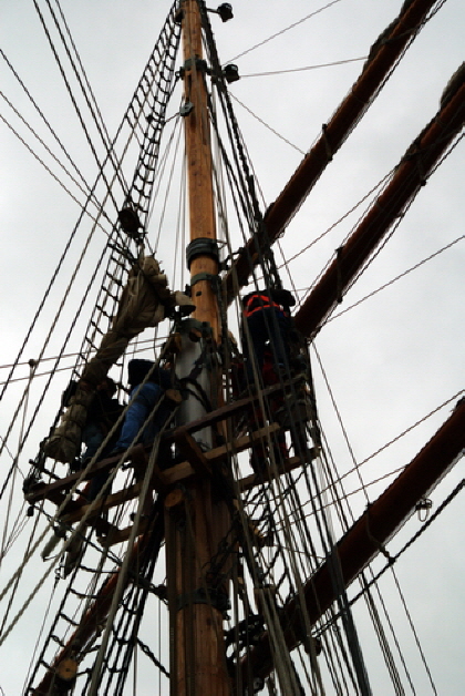 Sail 2010