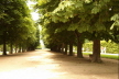 Pillnitz