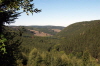 Harzer Wald
