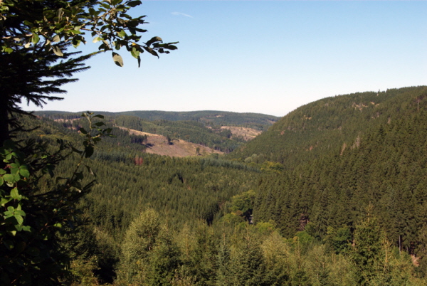 Harzer Wald
